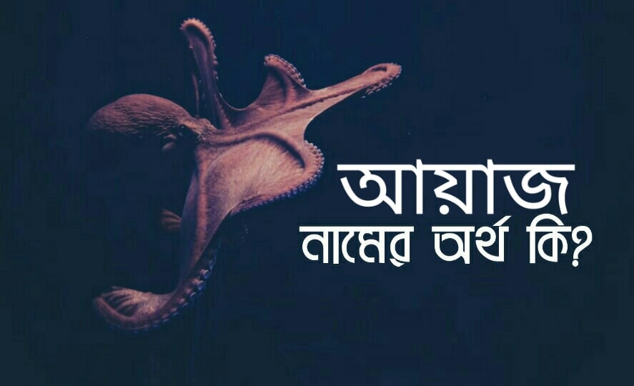 আয়াজ নামের অর্থ কি ? Ayaz name meaning in Bengali |
