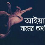 আইয়াজ নামের অর্থ কি? Ayaz name meaning in Bengali |