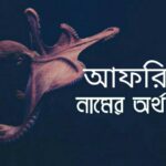 আফরিন নামের অর্থ কি? Afrin name meaning in Bengali |