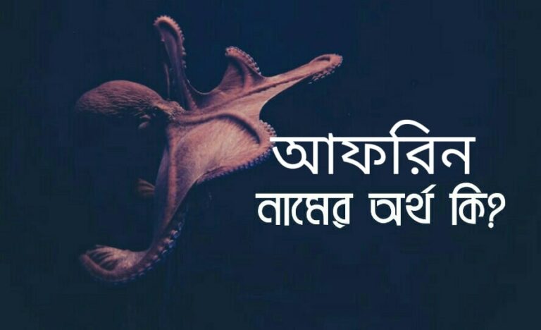 আফরিন নামের অর্থ কি? Afrin name meaning in Bengali |