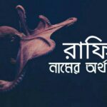 রাফিন নামের অর্থ কি? Rafin meaning in Bengali |