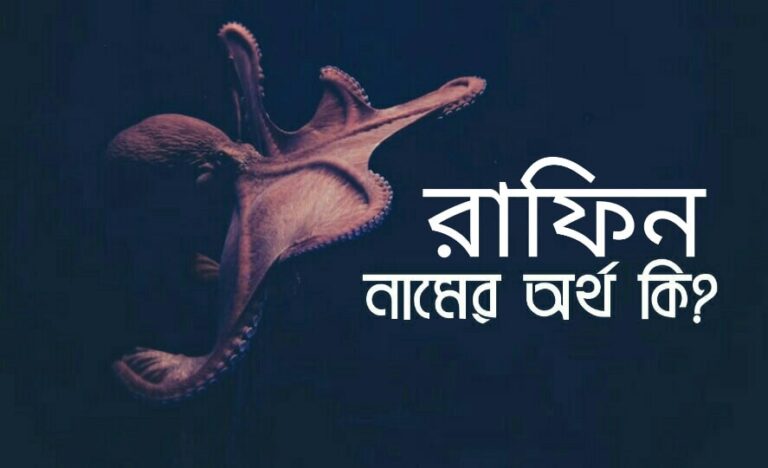 রাফিন নামের অর্থ কি? Rafin meaning in Bengali |