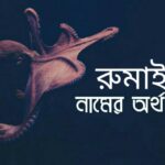 রুমাইয়া নামের অর্থ কি? Rumaiya name meaning in Bengali |