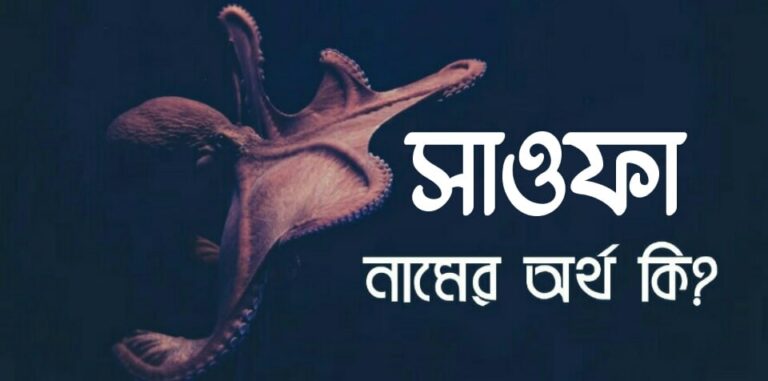 সাওফা নামের অর্থ কি? Sawfa name meaning in Bengali |