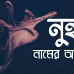 নুহান নামের অর্থ কি? Nuhan name meaning in Bengali