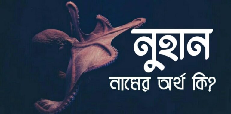 নুহান নামের অর্থ কি? Nuhan name meaning in Bengali