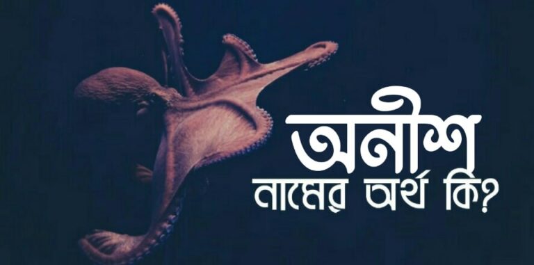 অনীশ নামের অর্থ কি? Aneesh name meaning in Bengali