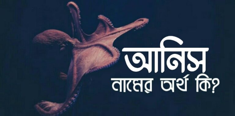 আনিস নামের অর্থ কি? Anis name meaning in Bengali