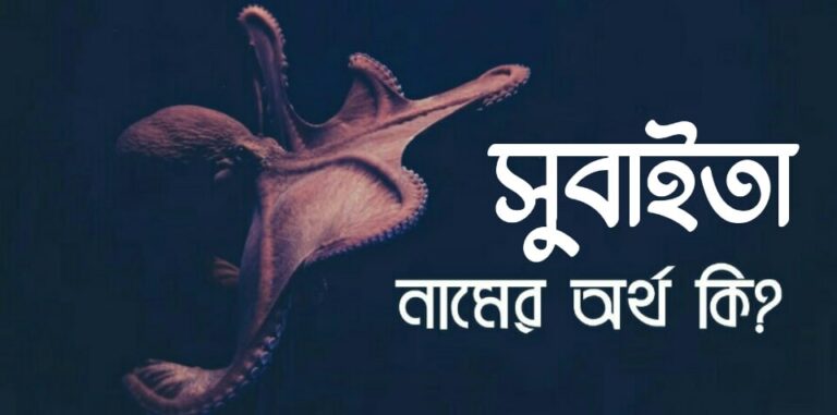 সুবাইতা নামের অর্থ কি? Subaita name meaning in Bengali