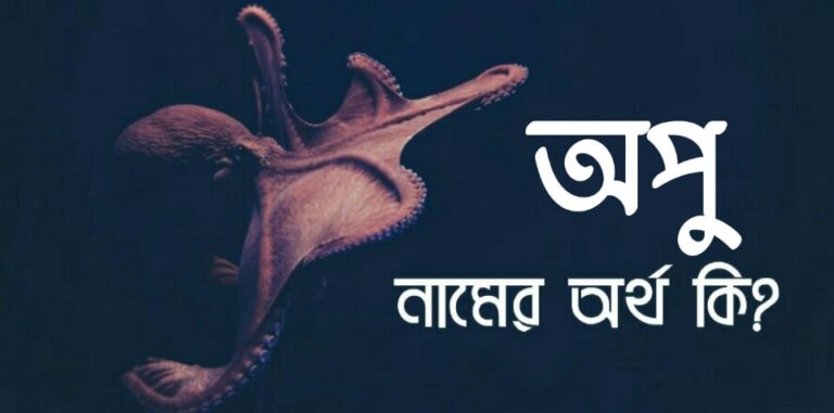 অপু নামের অর্থ কি? Opu name meaning in Bangla