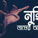 নুহিন নামের অর্থ কি? Nuhin name meaning in Bengali