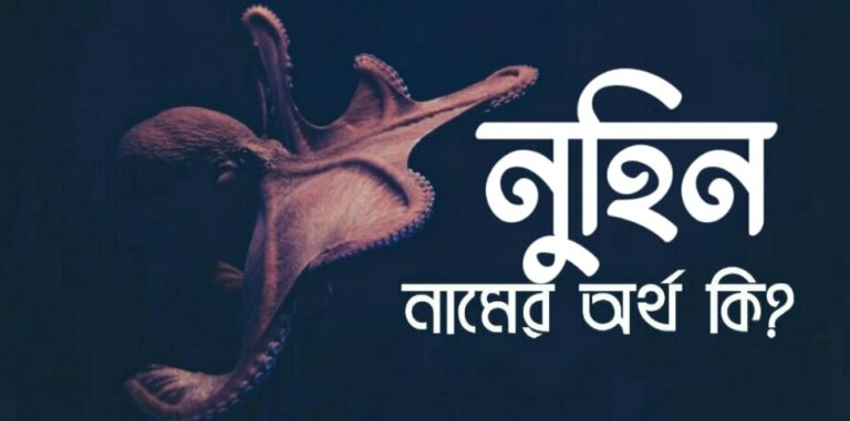 নুহিন নামের অর্থ কি? Nuhin name meaning in Bengali