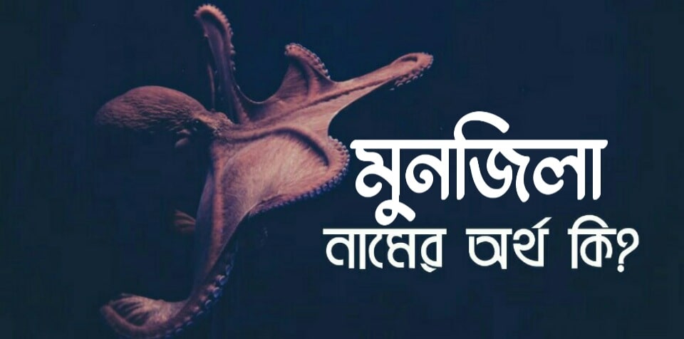 মুনজিলা নামের অর্থ কি? Munjila Name meaning in Bengali