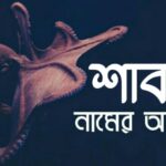 শাবাব নামের অর্থ কি? Shabab name meaning in Bengali
