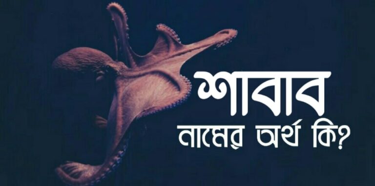 শাবাব নামের অর্থ কি? Shabab name meaning in Bengali