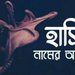 হাসিব নামের অর্থ কি? Hasib name meaning in Bengali