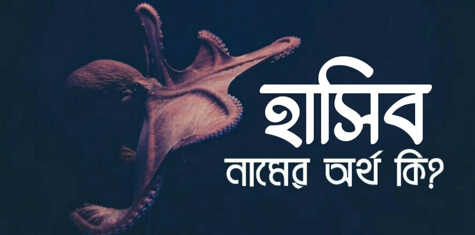 হাসিব নামের অর্থ কি? Hasib name meaning in Bengali