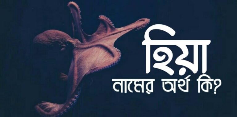 হিয়া নামের অর্থ কি? Hiya name meaning in Bengali