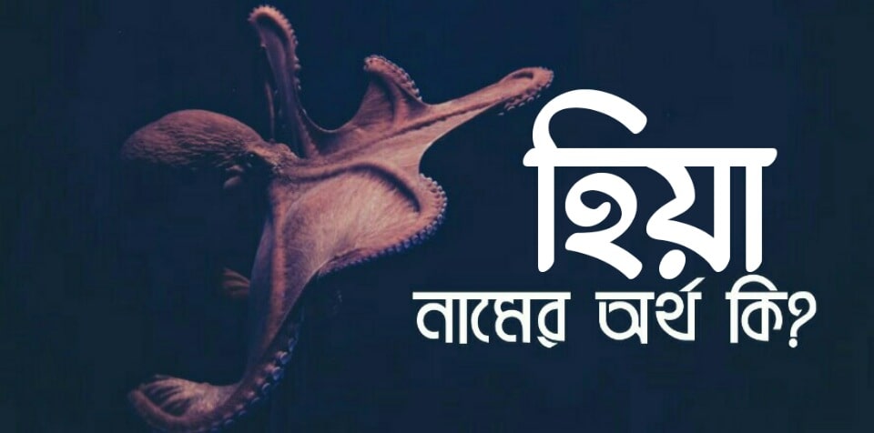 হিয়া নামের অর্থ কি? Hiya name meaning in Bengali
