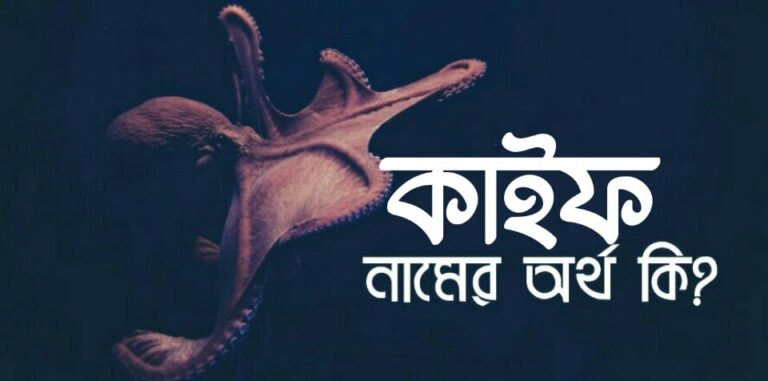 কাইফ নামের অর্থ কি? Kaif name meaning in Bengali
