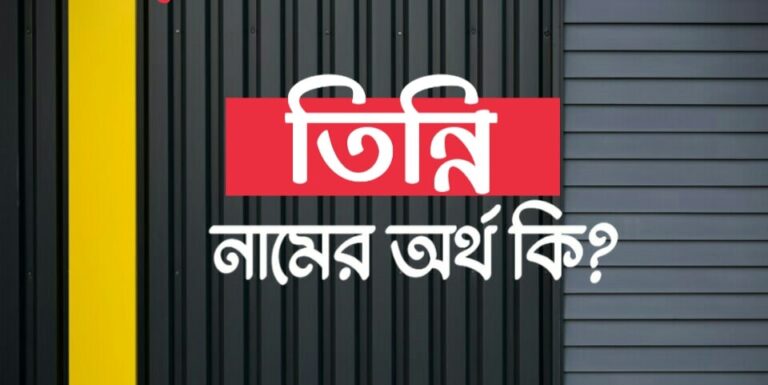 তিন্নি নামের অর্থ কি? Tinni name meaning in Bengali