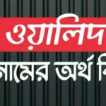 ওয়ালিদ নামের অর্থ কি? Walid name meaning in Bengali