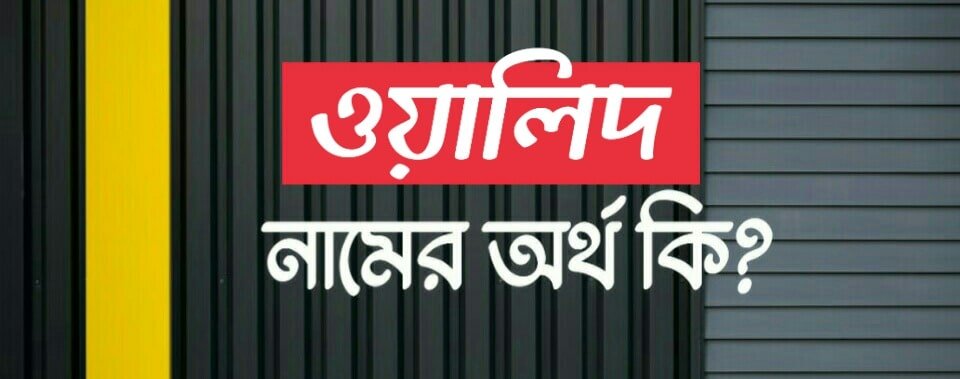  Walid Name Meaning In Bengali Name Bangla