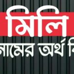 মিলি নামের অর্থ কি? Mili Name Meaning in Bengali