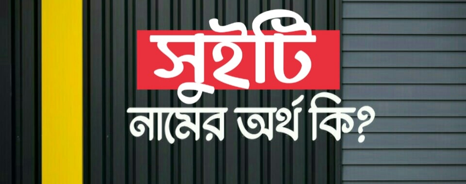 সুইটি নামের অর্থ কি? Sweety Name Meaning in Bengali