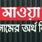মাওয়া নামের অর্থ কি? Mawa name meaning in Bengali