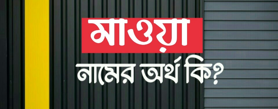 মাওয়া নামের অর্থ কি? Mawa name meaning in Bengali