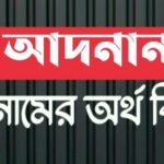 আদনান নামের অর্থ কি? Adnan name meaning in Bengali