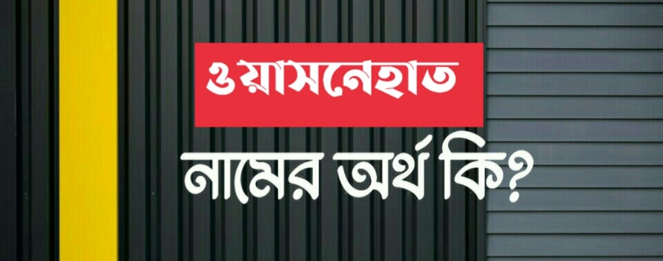 ওয়াসেনাত নামের অর্থ কি? Wasenat name meaning in Bengali