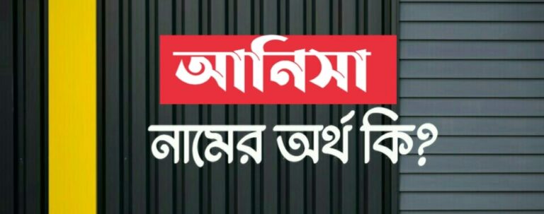 আনিসা নামের অর্থ কি? Anisa Name meaning in Bengali