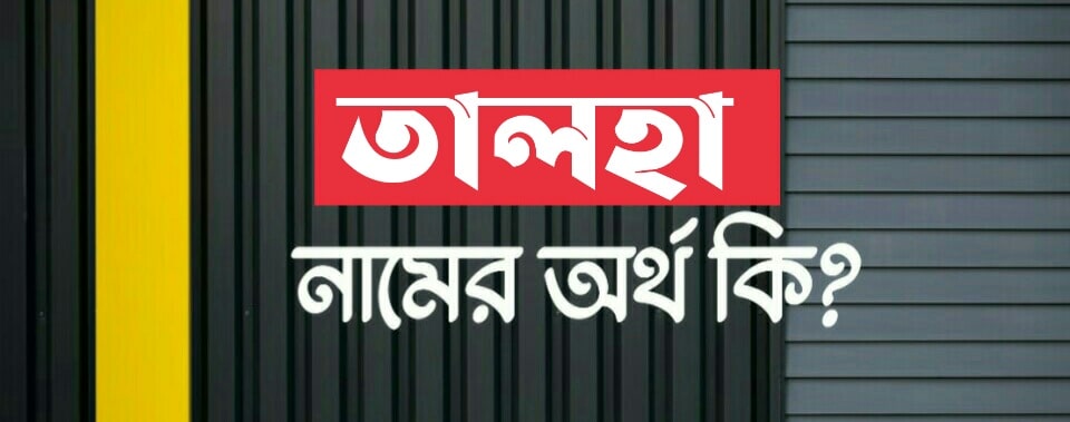 তালহা নামের অর্থ কি? Talha name meaning in Bengali