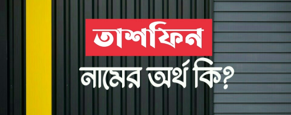 তাশফিন নামের অর্থ কি? Tashfeen Name Meaning in Bengali
