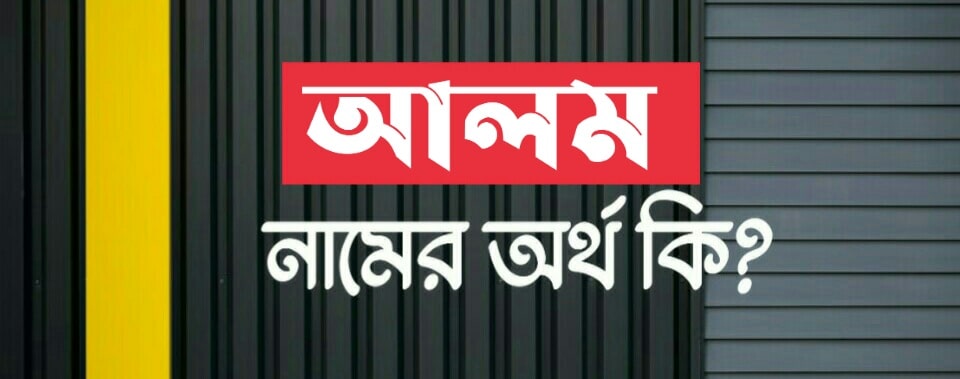 আলম নামের অর্থ কি? Alom name meaning in Bengali