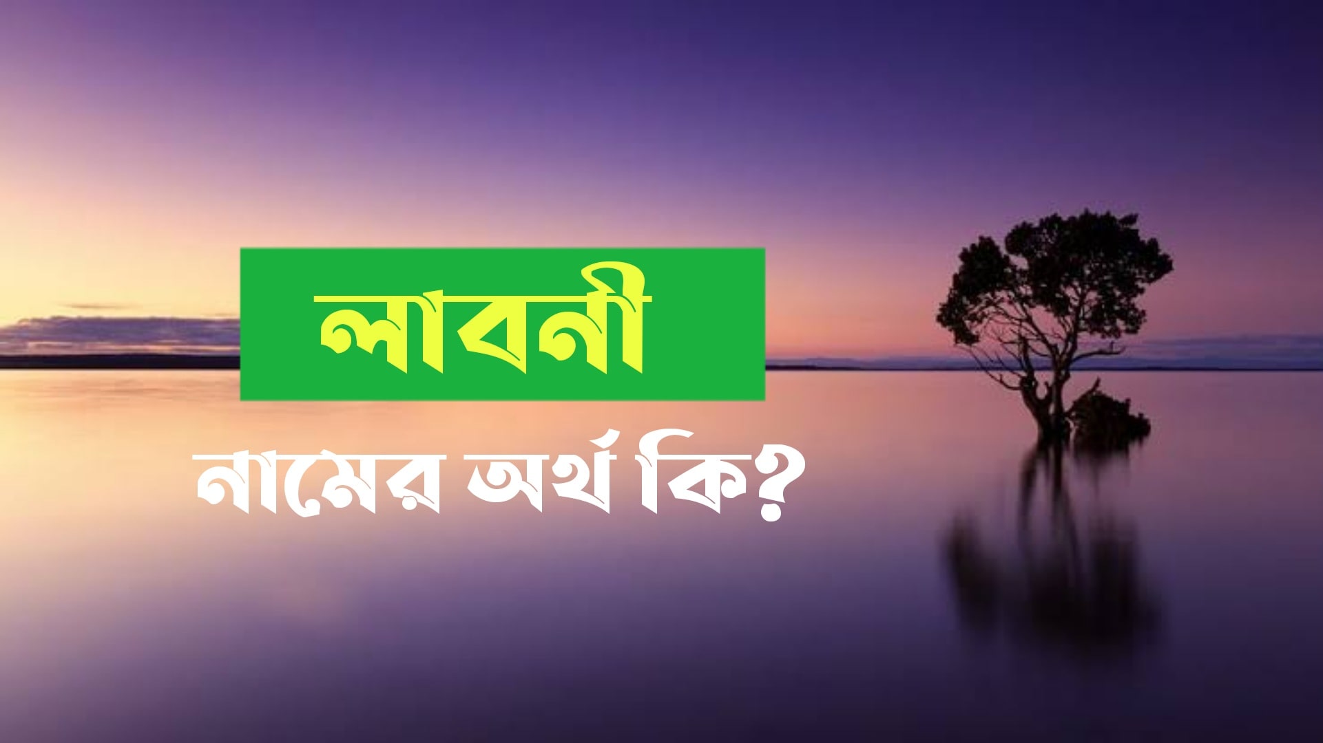 লাবনী নামের অর্থ কি? Laboni name meaning in Bengali