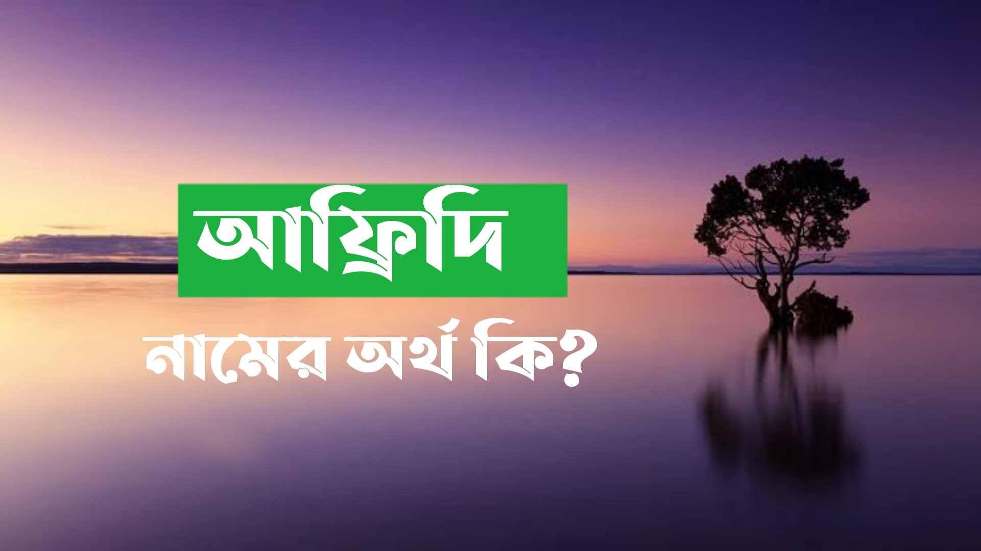 আফ্রিদি নামের অর্থ কি? Afridi name meaning in Bengali