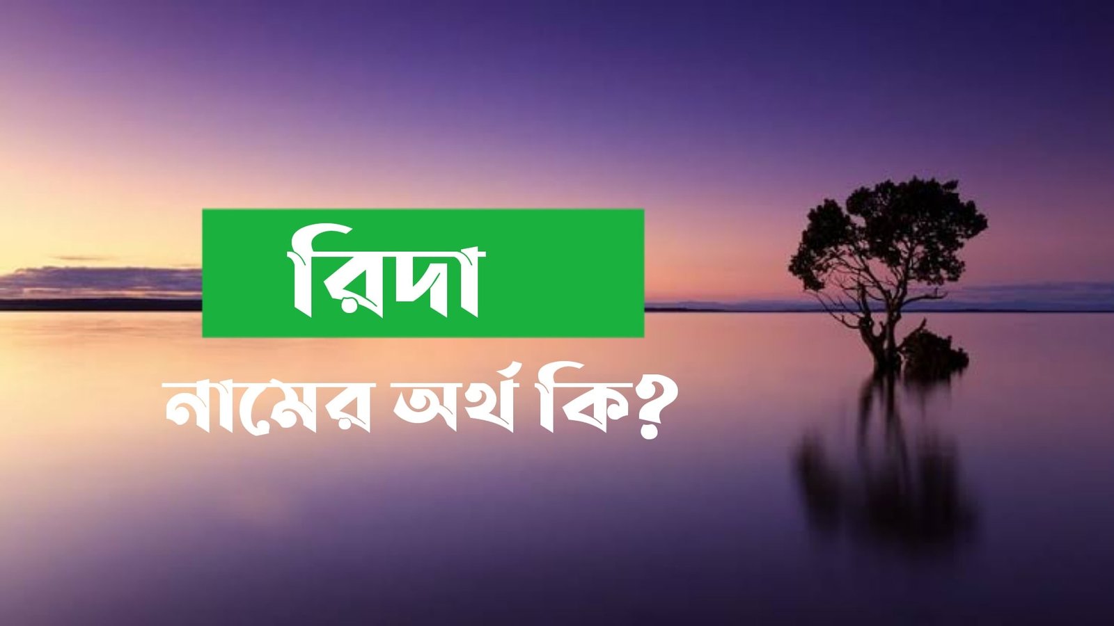 rida-name-meaning-in-bengali-name-bangla