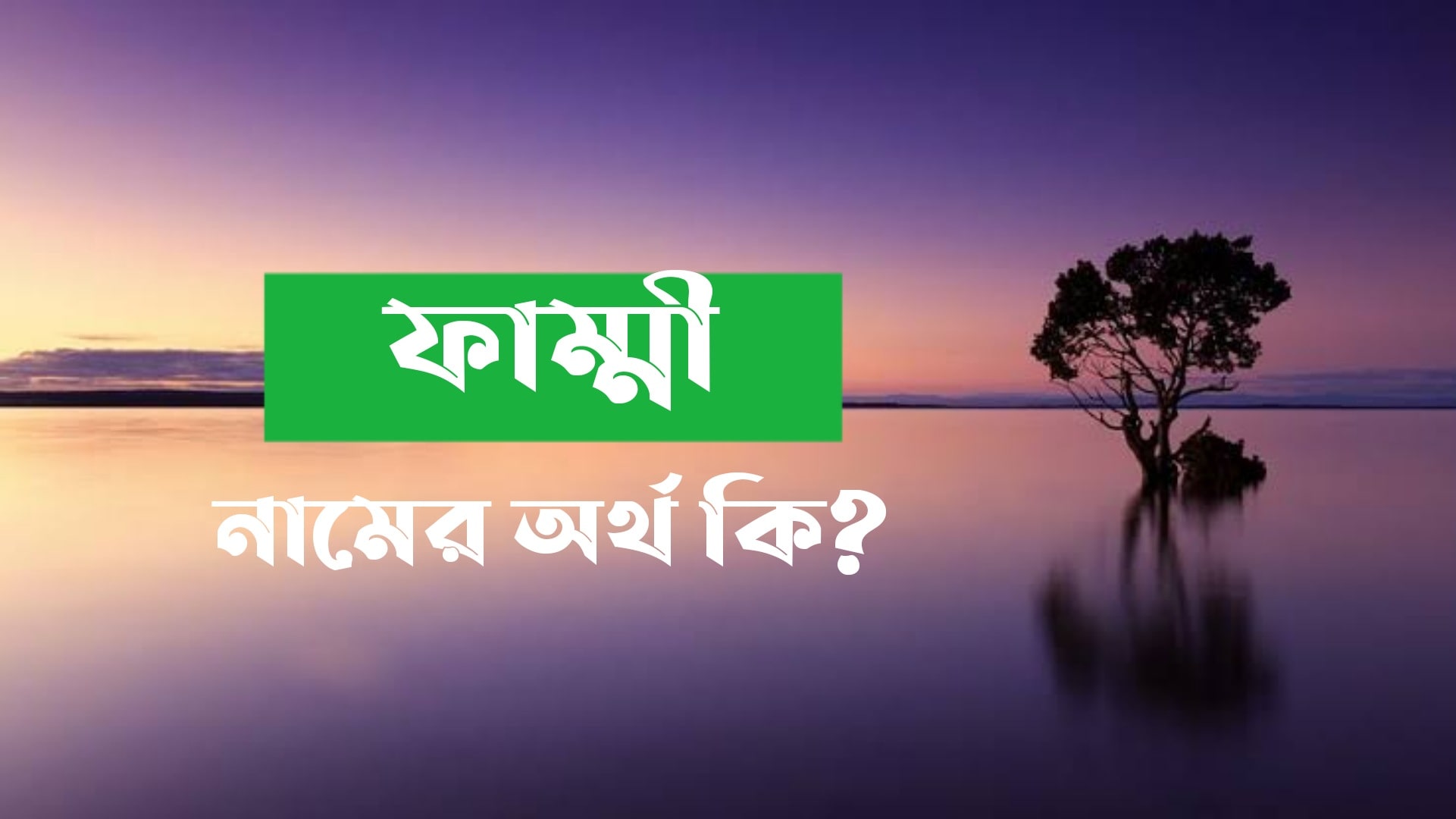 ফাম্মি নামের অর্থ কি? Fammi name meaning in Bengali