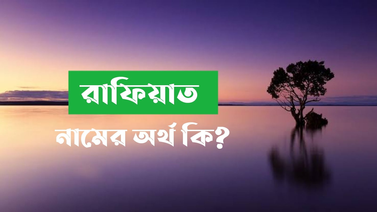 rafiat-name-meaning-in-bengali-name-bangla