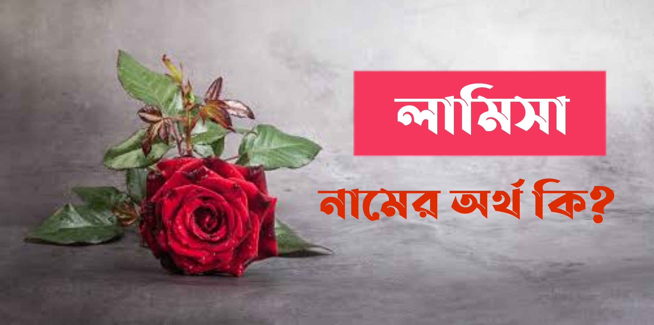 লামিসা নামের অর্থ কি? Lamisa name meaning in Bengali