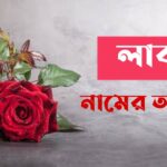 লাবন্য নামের অর্থ কি? Labanya Name Meaning in Bengali