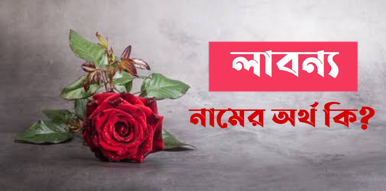 labanya-name-meaning-in-bengali-name-bangla