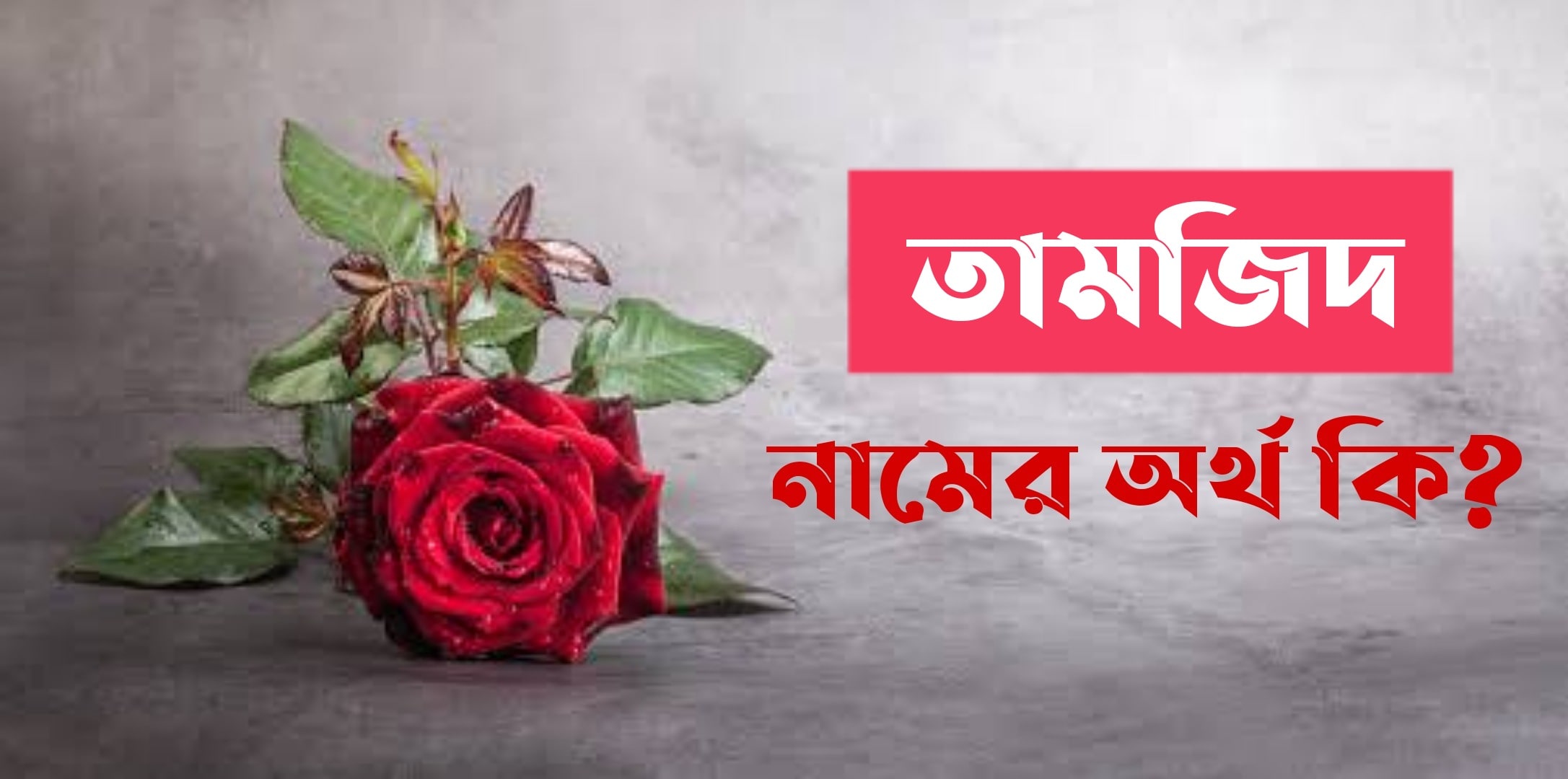 তামজিদ নামের অর্থ কি? Tamjid Name meaning in Bengali