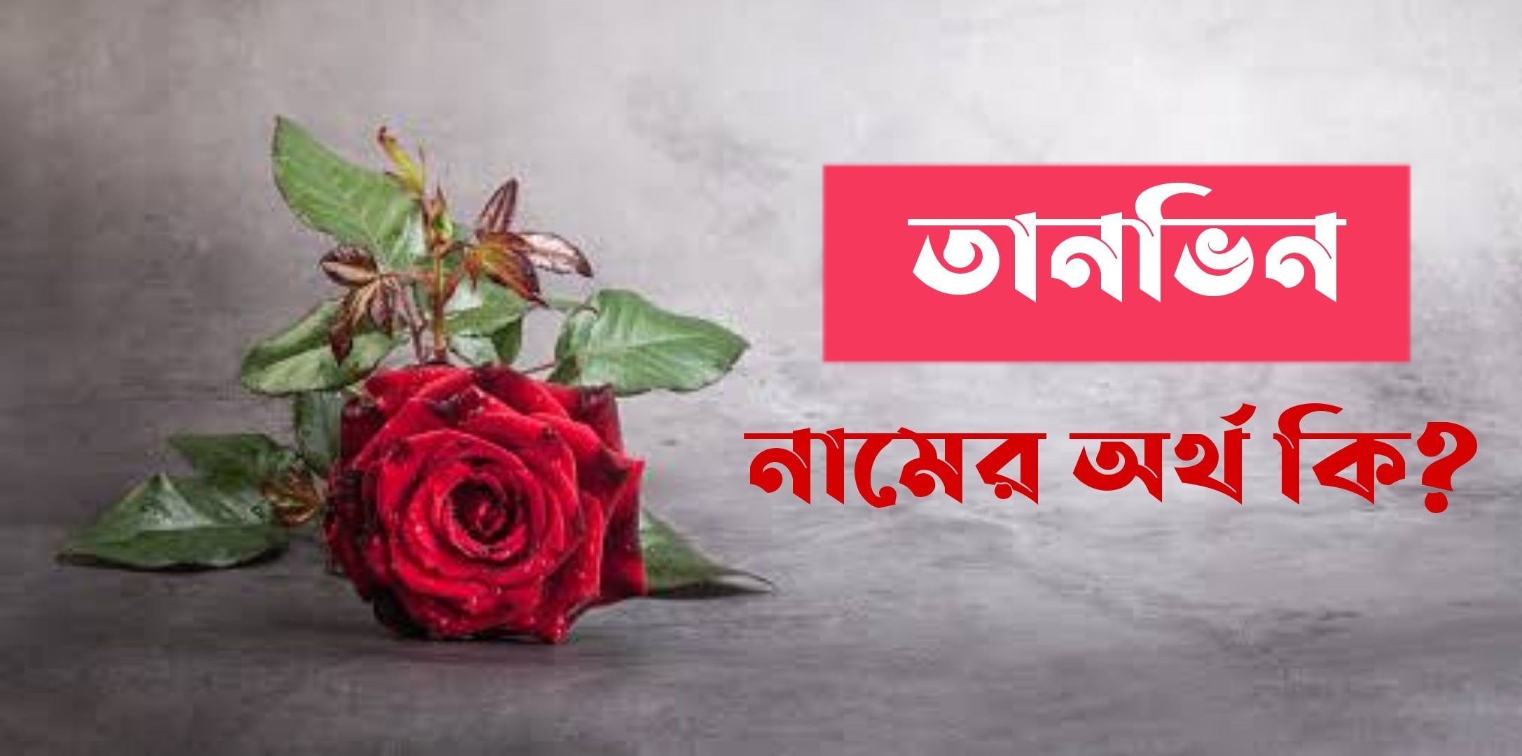 তানভীন নামের অর্থ কি? Tanvin Name meaning in Bengali