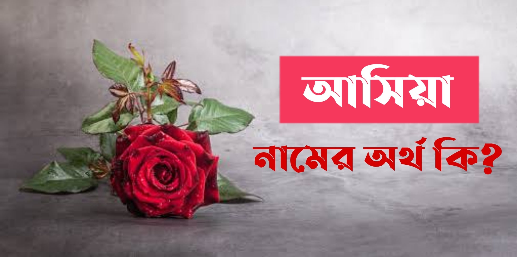 আসিয়া নামের অর্থ কি?Asiya Name meaning in Bengali