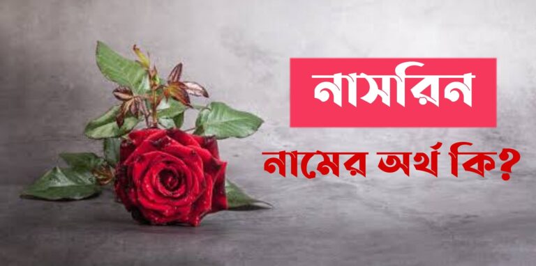 নাসরিন নামের অর্থ কি? Nasrin Name meaning in Bengali