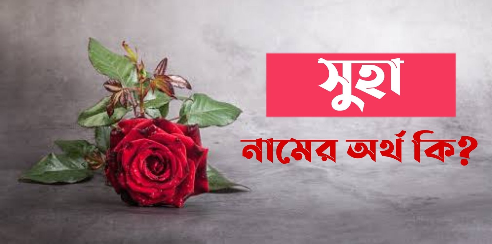 suha-name-meaning-in-bengali-name-bangla